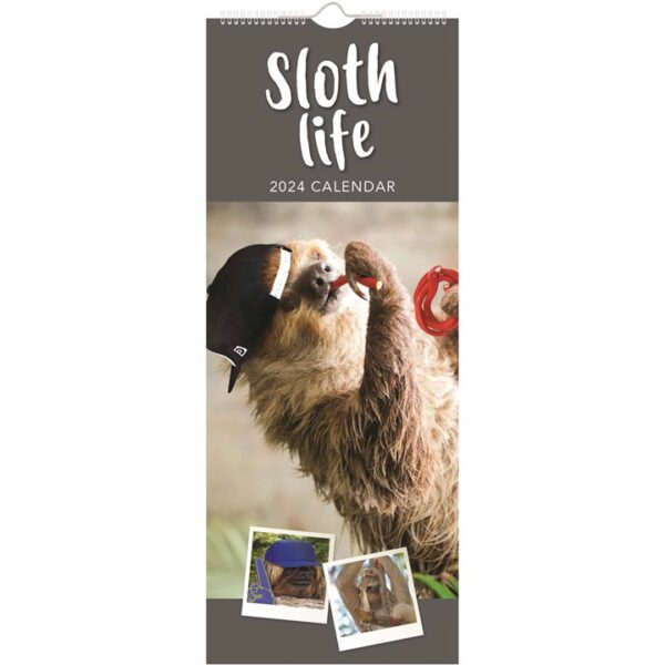 Sloth Life Slim Calendar 2024
