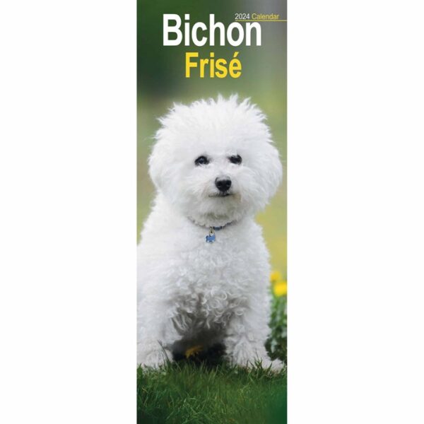 Bichon Frisé Slim Calendar 2024