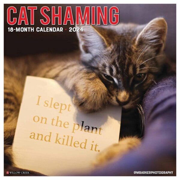Cat Shaming Calendar 2024