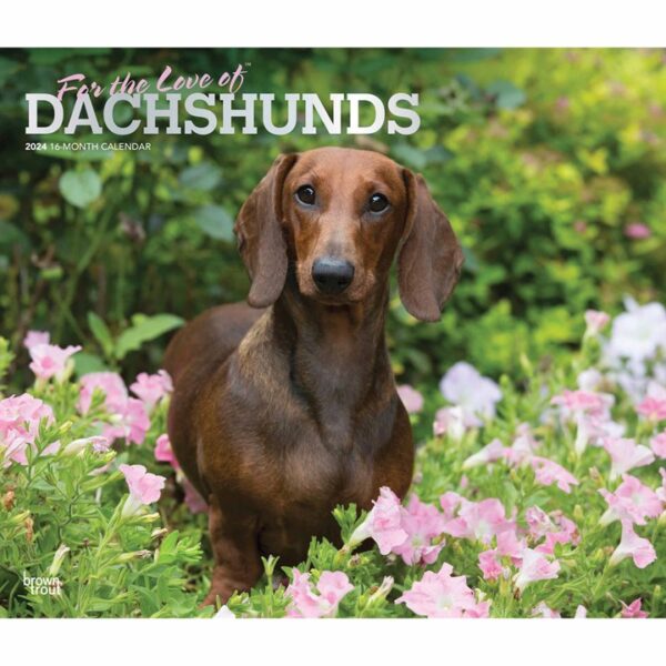 For The Love Of Dachshunds Deluxe Calendar 2024