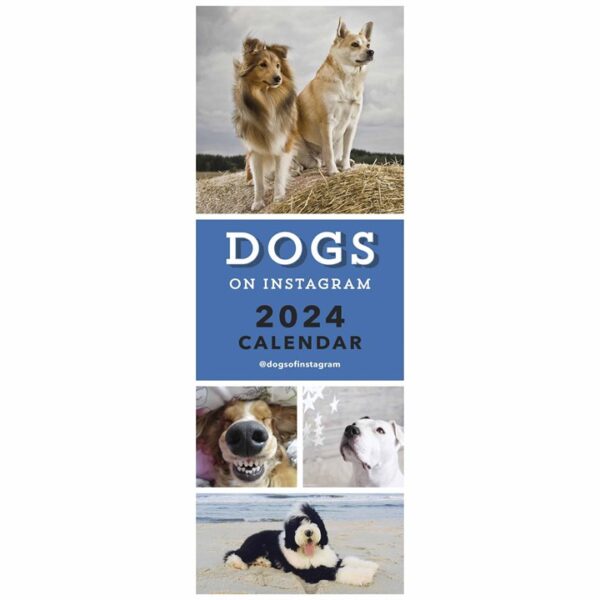 Dogs On Instagram Slim Calendar 2024