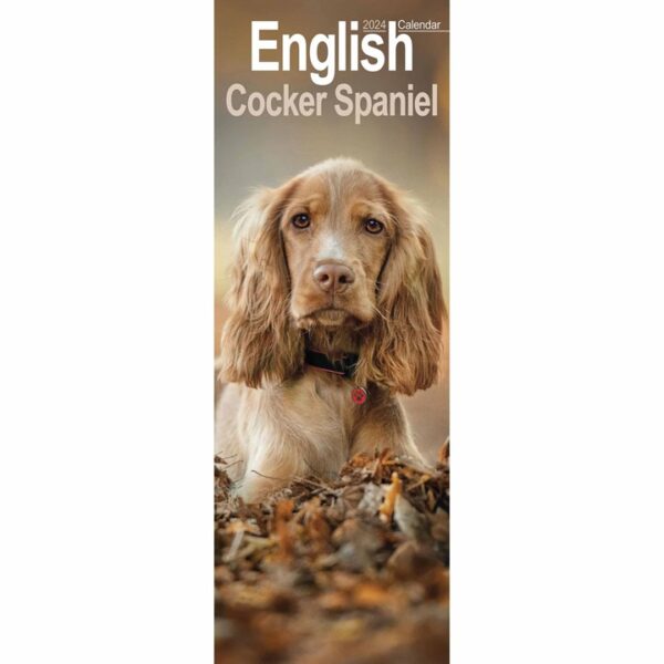 English Cocker Spaniel Slim Calendar 2024