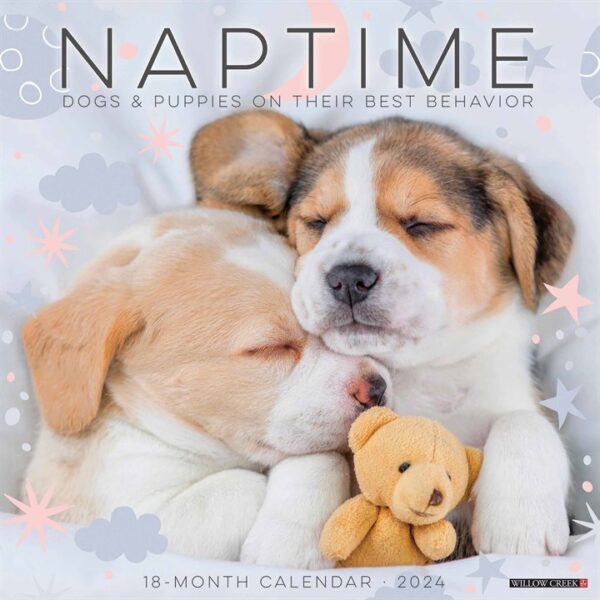 Naptime Dogs Calendar 2024