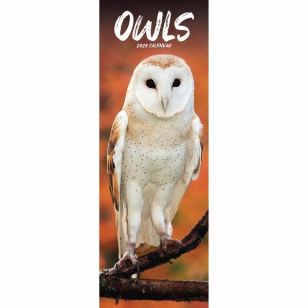 Owls Slim Calendar 2024