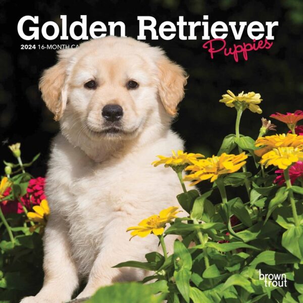 Golden Retriever Puppies Mini Calendar 2024