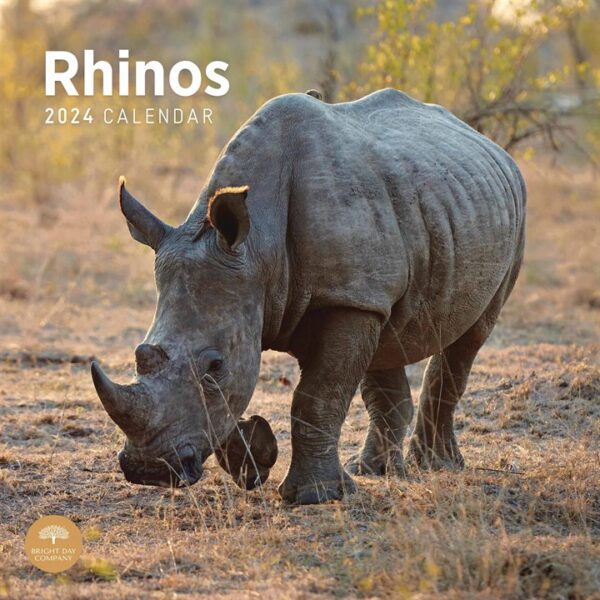 Rhinos Calendar 2024