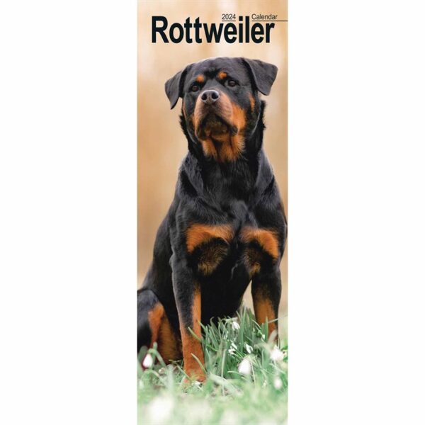Rottweiler Slim Calendar 2024