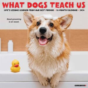 What Dogs Teach Us Calendar 2024