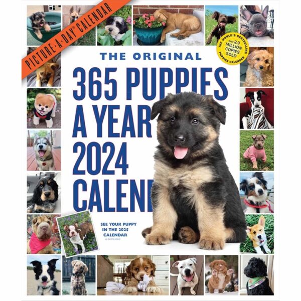 365 Puppies A Year Deluxe Calendar 2024