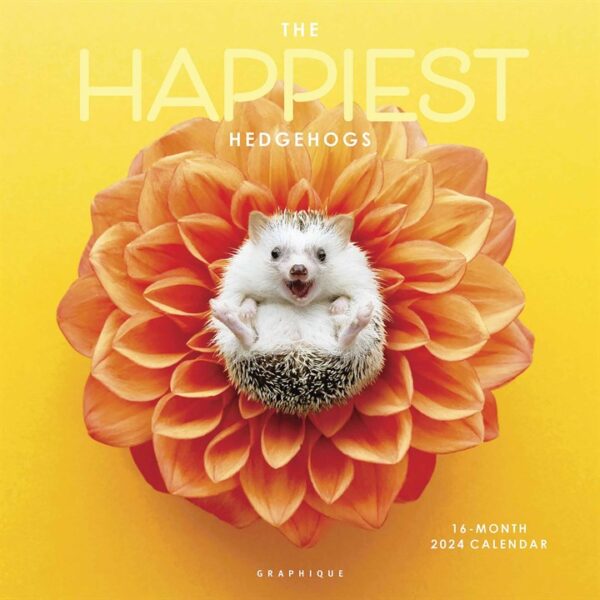 The Happiest Hedgehogs Calendar 2024
